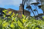 best parks rome_igotorome_villa borghese