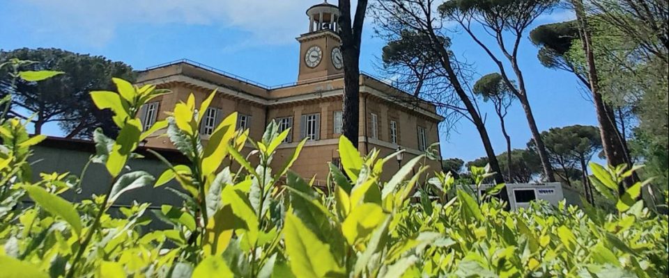 best parks rome_igotorome_villa borghese